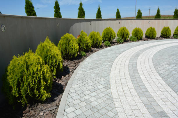 Best Commercial Driveway Pavers  in Gladewater, TX